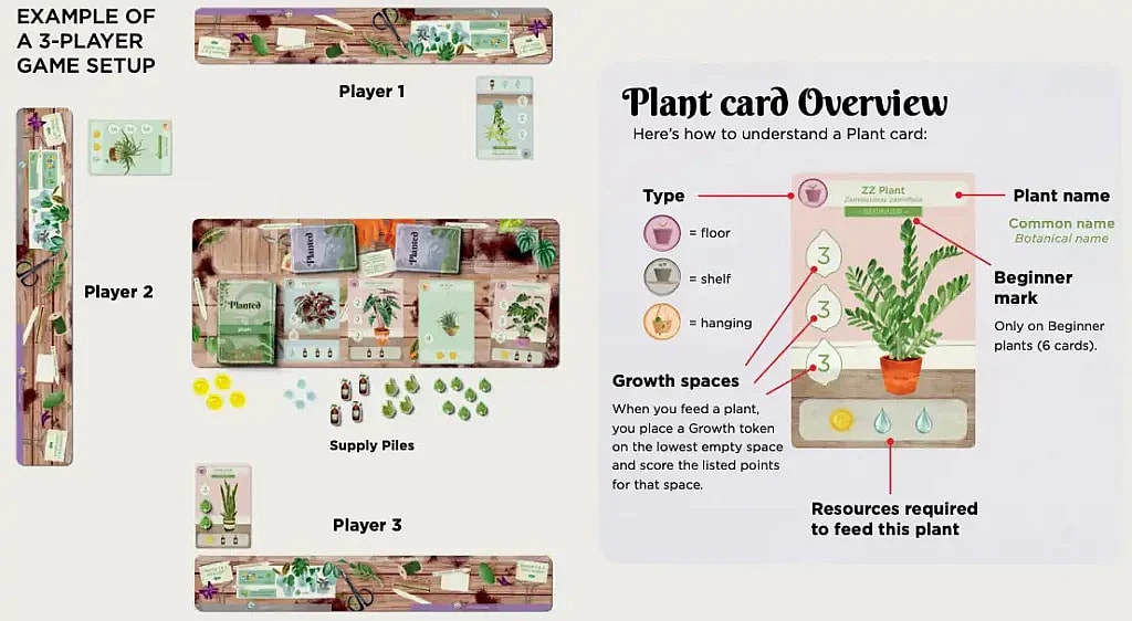 How to Play Planted Board Game  Rules, Setup, and Scoring Guide