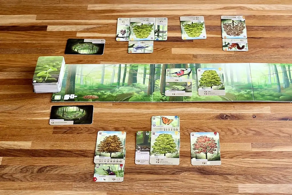A photograph showing a portion of the board game Forest Shuffle set up on a wooden table. The game features a long, panoramic central board composed of several segments depicting a forest floor and trees. A stack of unplayed cards with a green seedling on the back is placed to the left of the board. Cards are arranged in various areas: A player tableau in the lower half of the image features a column of three vertically-stacked cards (two Oak trees and one card with an insect) and three other cards laid out to the right (a butterfly, an Ash tree, and a Maple tree). Three cards are visible face-up in the central area along the forest board (a bird, a frog, and an Oak tree). A small Market/Meadow area near the top center displays two rows of face-up cards (mainly cone-like structures, a bird, and a fox). Two "den" or "cave" cards are placed face-down on either side of the central board. The overall setup suggests a mid-game state, showcasing the game's nature theme and card-stacking mechanic.
