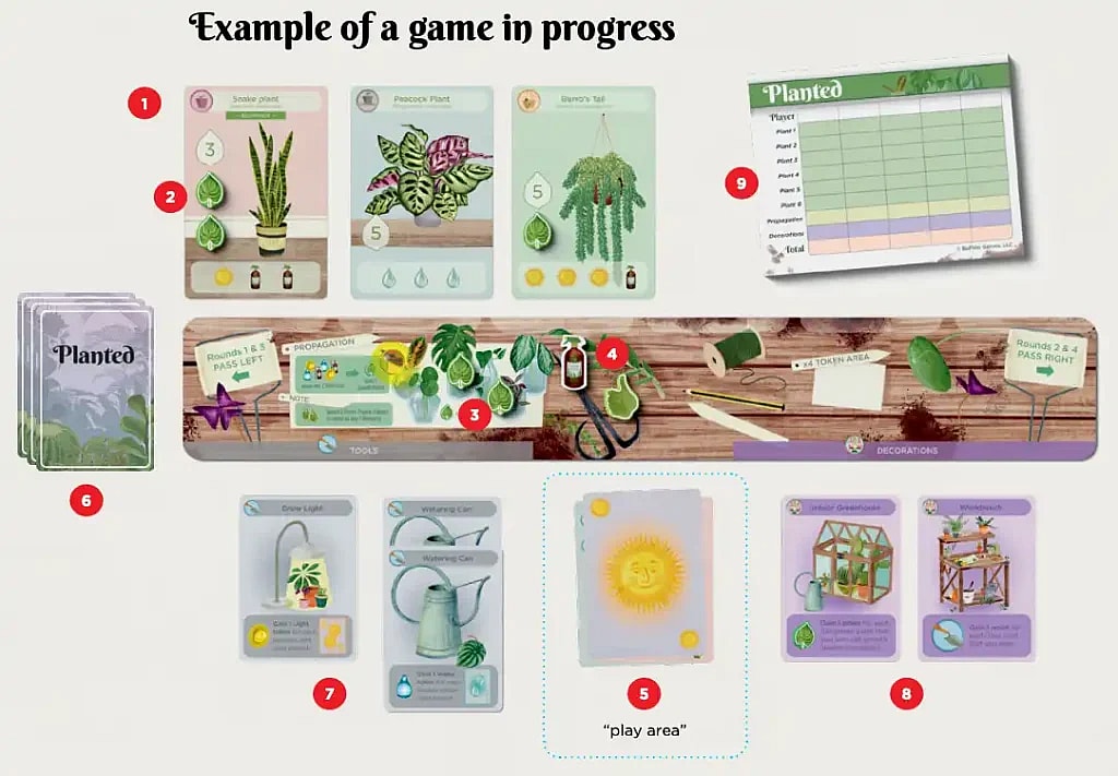 illustration showing an example of a game in progress of planted the board game
