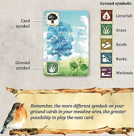 An instructional image from the board game Meadow that explains the Card and Ground symbols, along with a key for the Ground symbols. The central element is a card featuring a watercolor painting of a large blue-leafed tree under a partly cloudy sky, growing over a grassy patch. An arrow points to the Card symbol at the top center of the card, which shows a stylized black tree icon on a white circle. A second arrow points to the Ground symbol at the bottom center of the card, which displays a white icon of tall Grass on a dark green circle. To the right, a vertical column lists and illustrates five types of Ground symbols: Litterfall (brown leaf on a dark red square), Grass (green blades on a dark green square), Sands (white dunes on a brown square), Rocks (white stones on a dark blue square), and Wetlands (white zig-zags on a dark purple square). Below the card and symbol key, a banner featuring a robin sitting on a branch contains a tip: "Remember, the more different symbols on your ground cards in your meadow area, the greater possibility to play the next card."