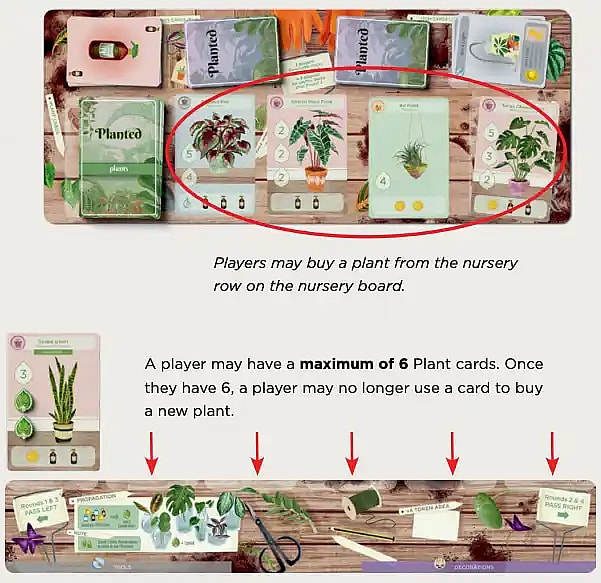illustrttation from the rulebook of Planted the board game showing how to buy a new plant